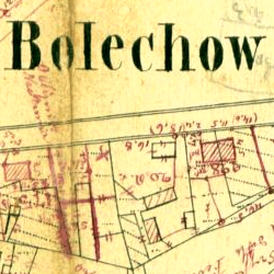 Bolechów 1878