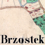 Brzostek 1850