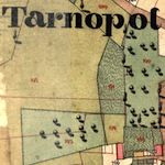 Tarnopol undated