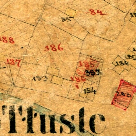 Tłuste 1899