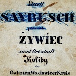 Żywiec (Saybusch) Indic. 1844