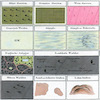 Cadastral Map Legends