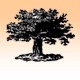 Miriam Weiner's Routes to Roots Foundation